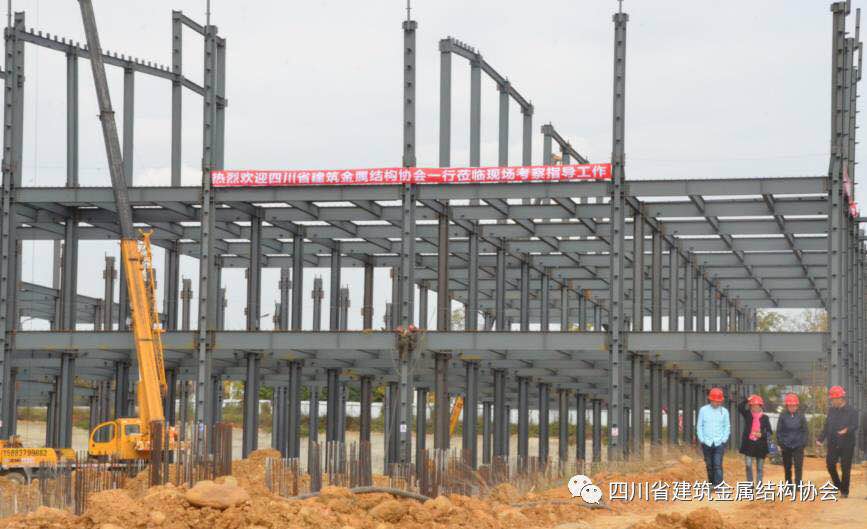 1512635362246409.jpg 43.jpg