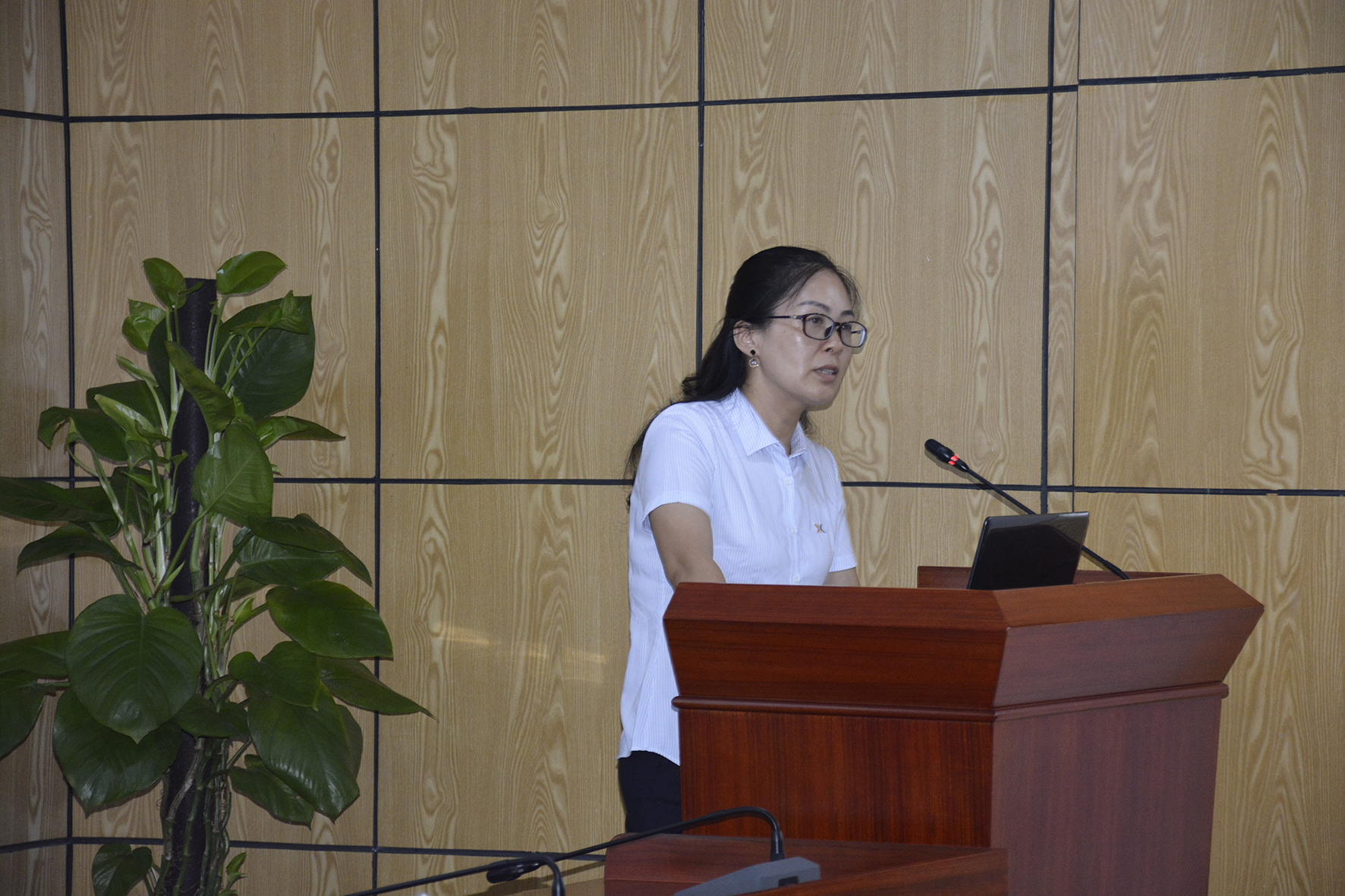 1536570005681934.jpg 2.2.jpg