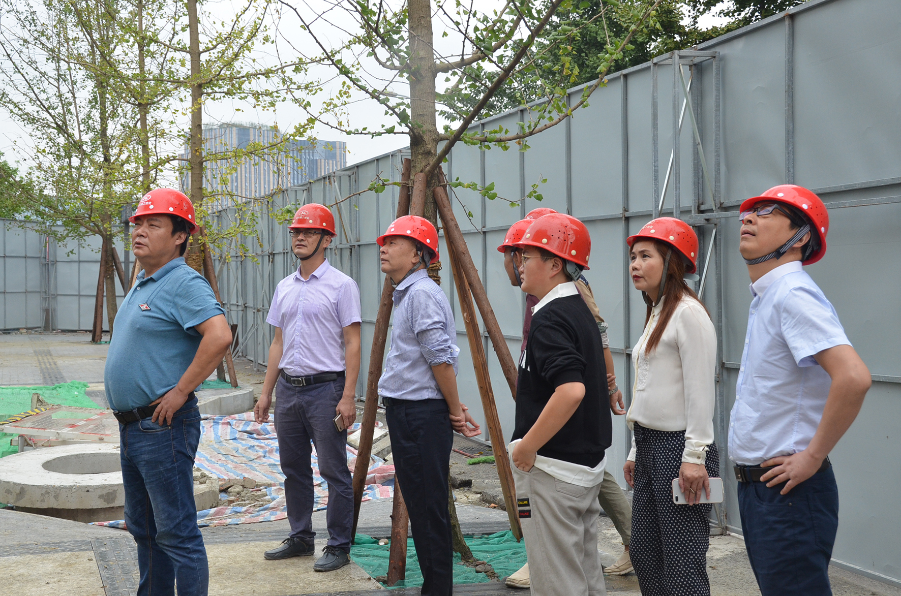 1537344177186318.jpg 3.jpg