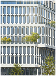 1564036081599580.png 8.png