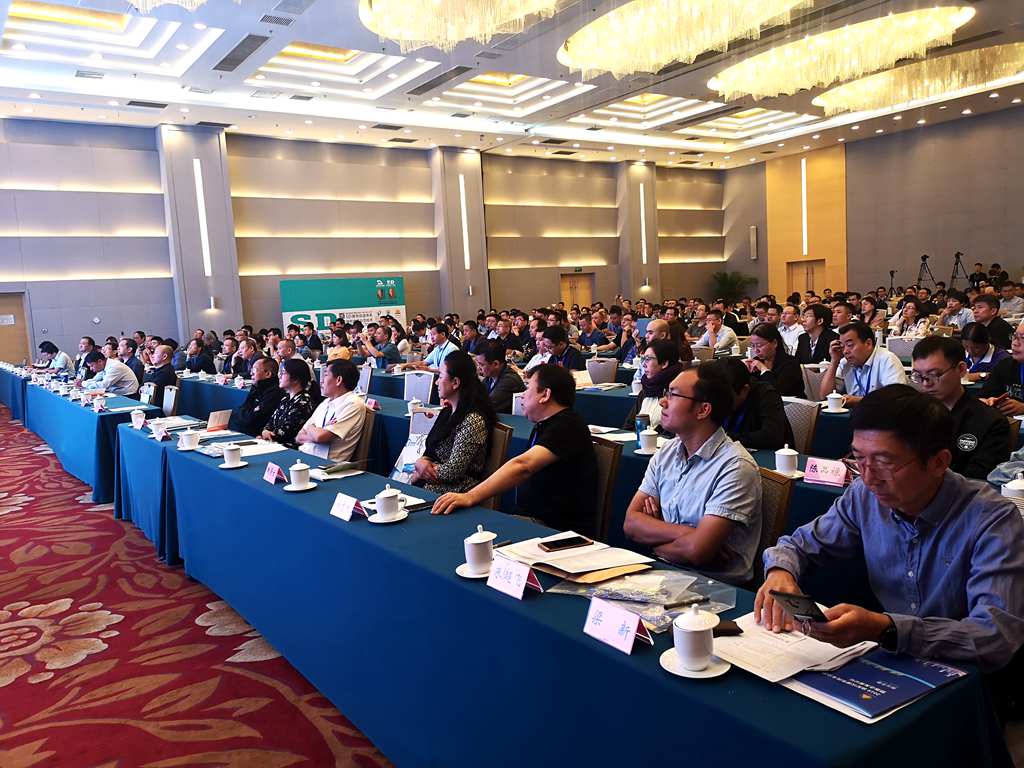 1568958783582250.jpg 2.jpg