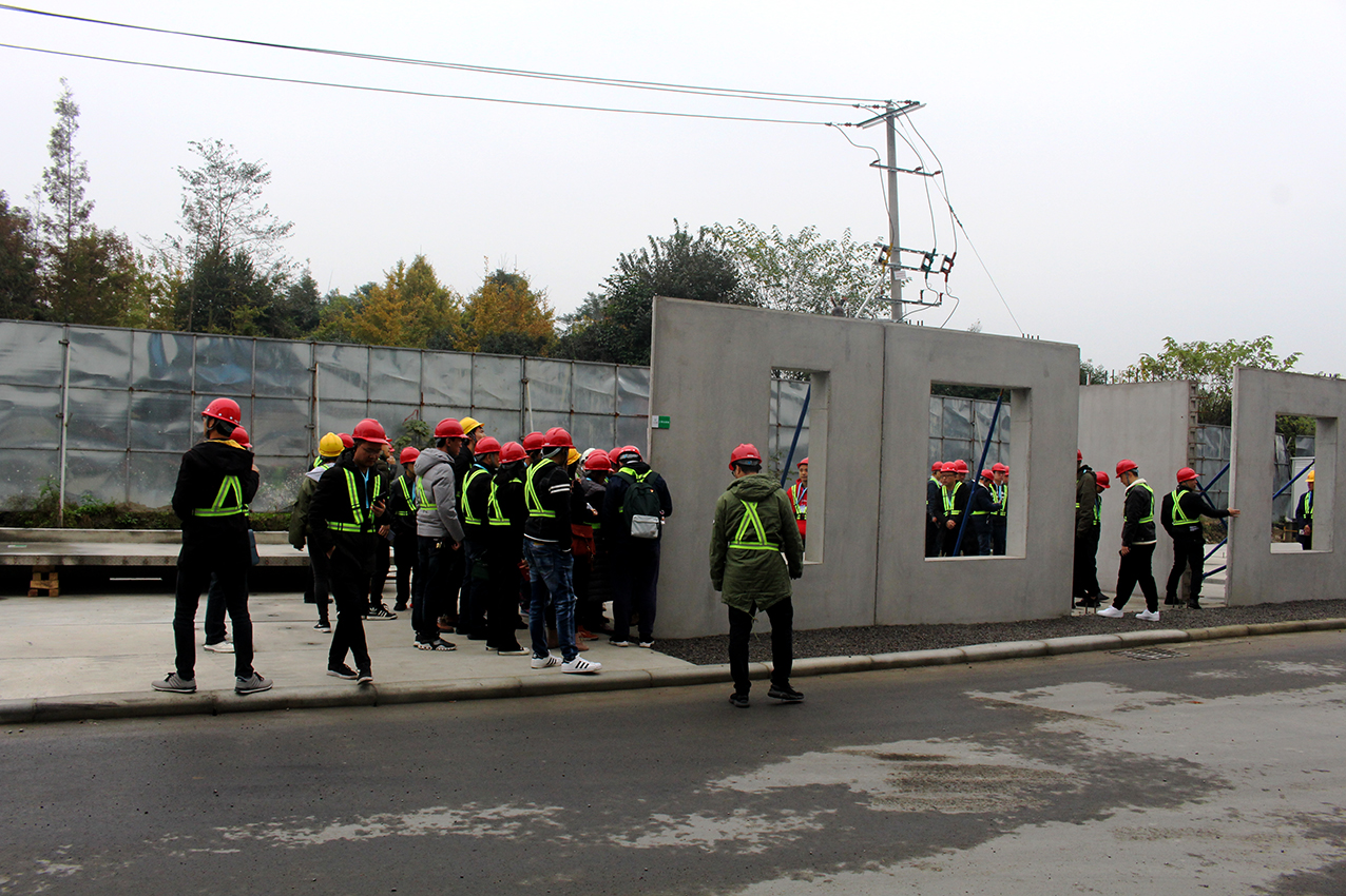 1575250212718520.jpg 2.jpg