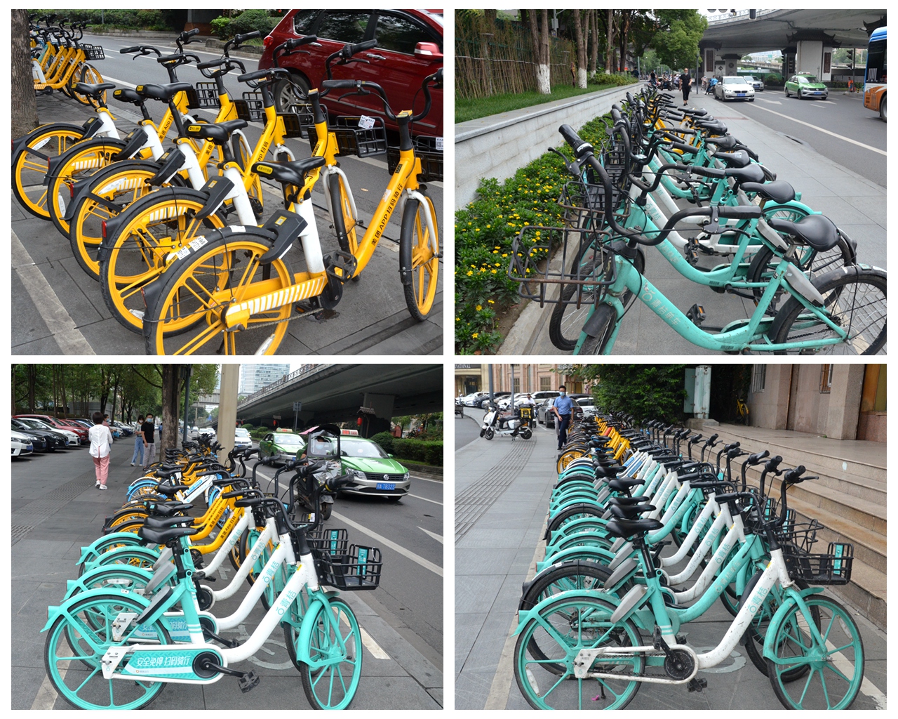 1593392729462320.jpg DSC_4913_副本.jpg