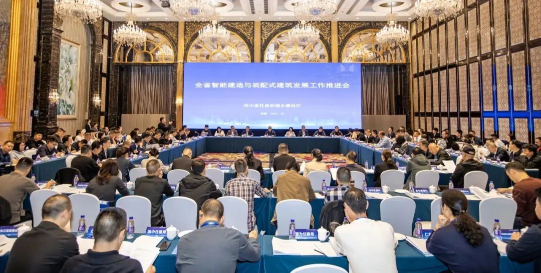 1735889602619598.jpg 2.jpg