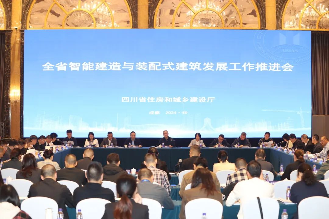 1735889613236301.jpg 3.jpg