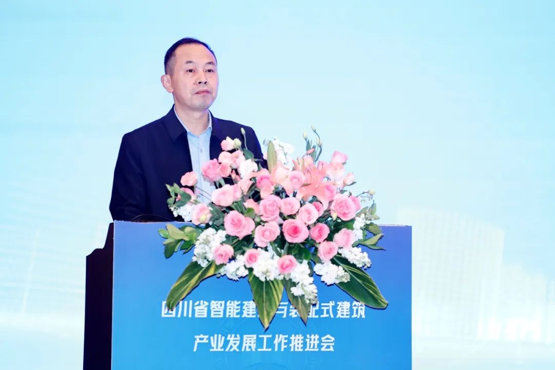 1735889651950242.jpg 6.jpg