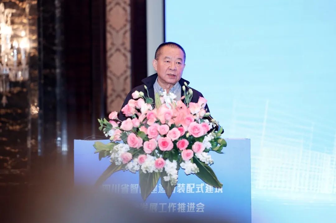 1735889666663098.jpg 7.jpg