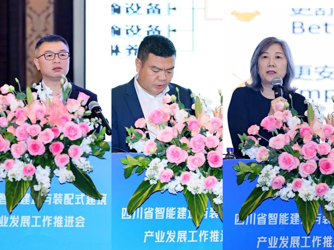 1735889697199772.jpg 9.jpg