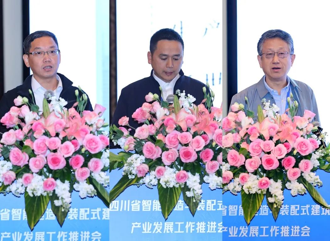 1735889927244143.jpg 10.jpg