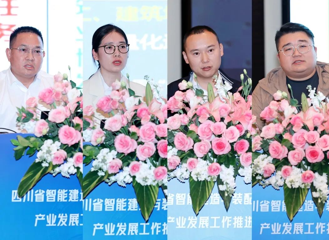 1735889939822761.jpg 11.jpg