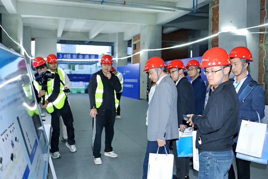 1735889989120208.jpg 12.jpg